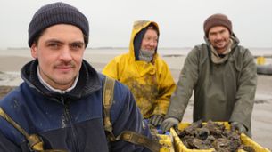 L’huître creuse colonise la mer des Wadden