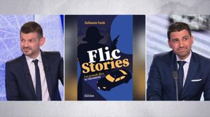 Flic Stories : les grands flics se racontent