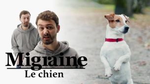 Le chien