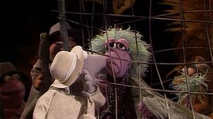 Les guerres des Fraggles