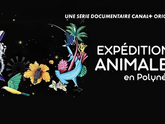 Expéditions animales en Polynésie