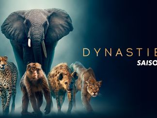 Dynasties - Saison 2