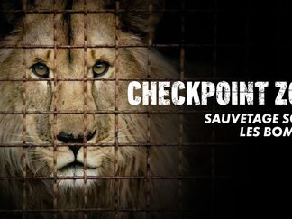 Checkpoint Zoo : Sauvetage sous les bombes