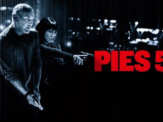 Pies 51