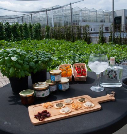 Les produits cultivés à la ferme BIGH de Bruxelles.