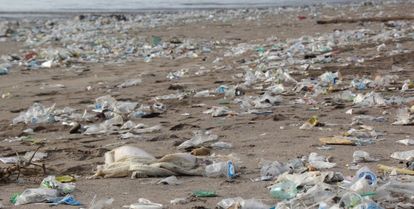 déchets plastiques sur la plage