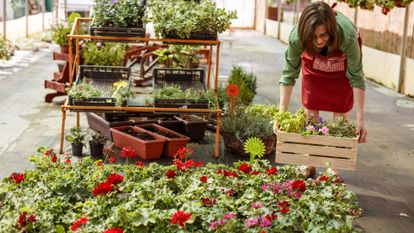 fleuriste devant sa boutique