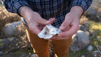 homme tenant une coquille d'huître