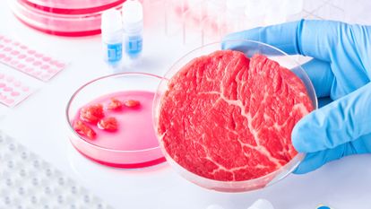 viande créée en laboratoire