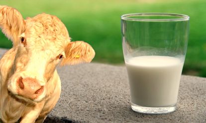 Lait sans vache