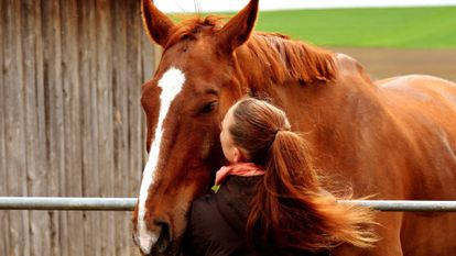 cheval et cavalière