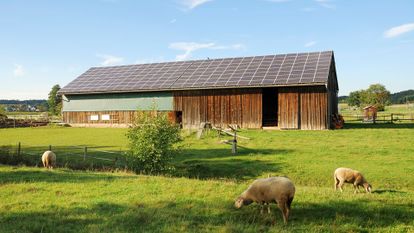 panneaux solaires sur un hangar