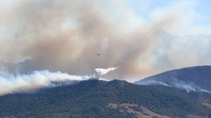 incendie de forêt en france