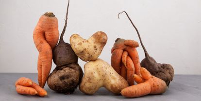 des fruits et légumes moches