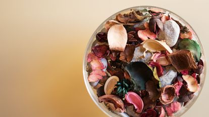 pot-pourri