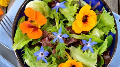 fleurs dans un plat