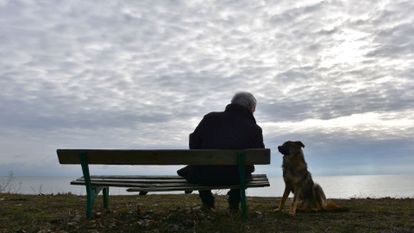 un vieil homme et son chien