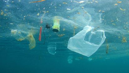 déchets plastique océan