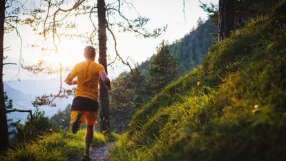 courir en forêt