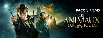 Pack 3 films LES ANIMAUX FANTASTIQUES