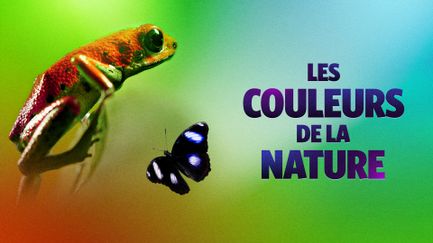 La vie en couleurs avec David Attenborough