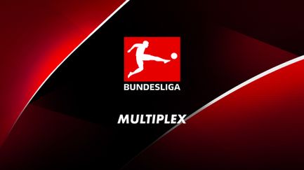 Multiplex