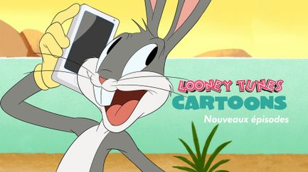 Looney Tunes Cartoons