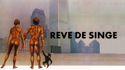 Rêve de singe