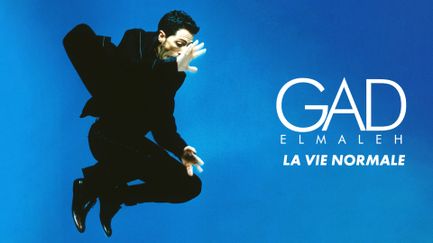 Gad Elmaleh : La vie normale