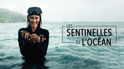 Les sentinelles de l'océan