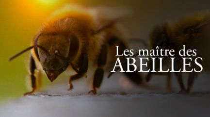 Les maîtres des abeilles