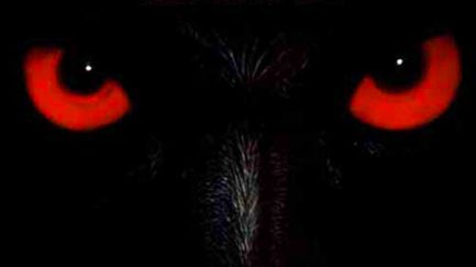 Wolfen - Trailer