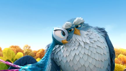Gus, petit oiseau grand voyage - T