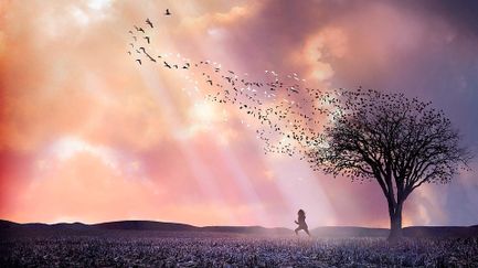 Lovely Bones - Trailer