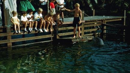 Flipper, aventures en Floride - Tr