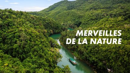 Merveilles de la nature