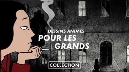 Collection Dessins animés pour les grands