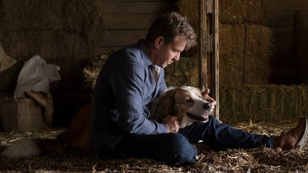 Mes autres vies de chien - Trailer