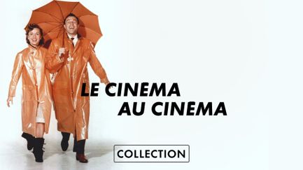 Collection Le Cinema Au Cinema