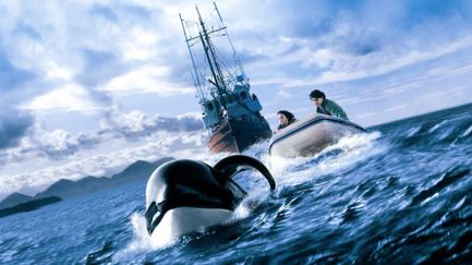 Sauvez Willy 3, la poursuite - Tra
