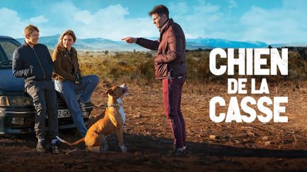 Chien de la casse