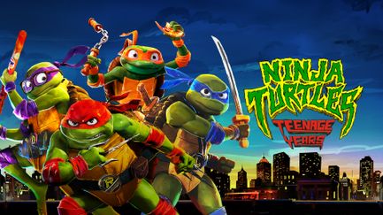 Ninja Turtles : Teenage Years