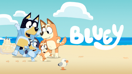 Bluey