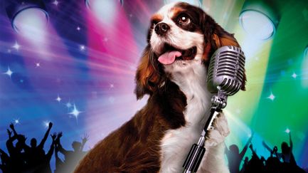 Pop Star Puppy - Trailer