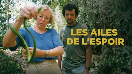 Les ailes de l'espoir - Trailer