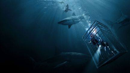 47 Meters Down - Trailer