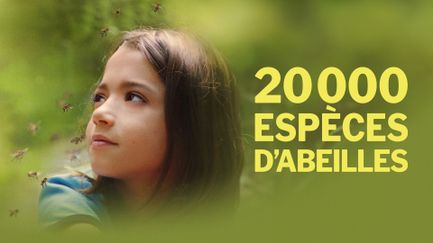 20 000 espèces d'abeilles - Trailer