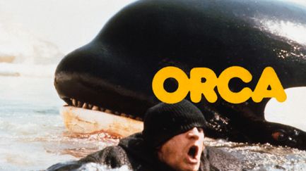 Orca