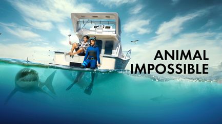 Animal Impossible