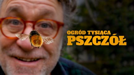Ogród tysiąca pszczół